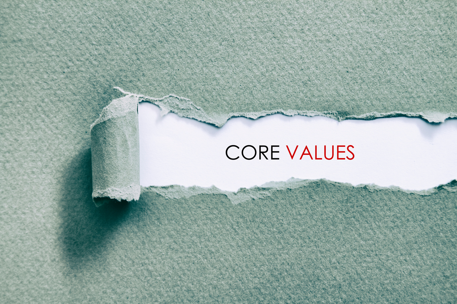 CORE VALUES